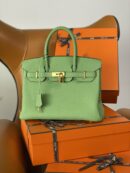 Hermes Birkin 25 Nata Swift Gold Hardware Green