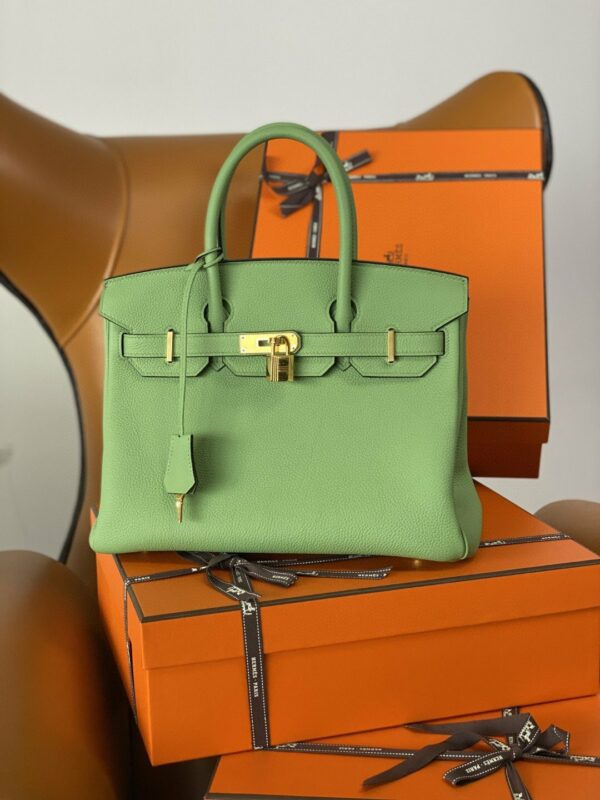 Hermes Birkin 25 Nata Swift Gold Hardware Green - Image 8