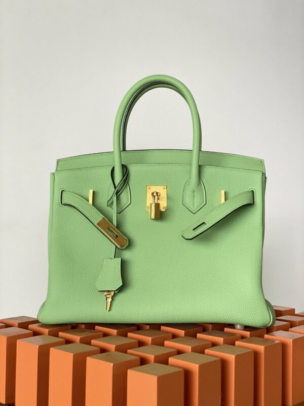 Hermes Birkin 25 Nata Swift Gold Hardware Green - Image 7