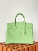 Hermes Birkin 25 Nata Swift Gold Hardware Green