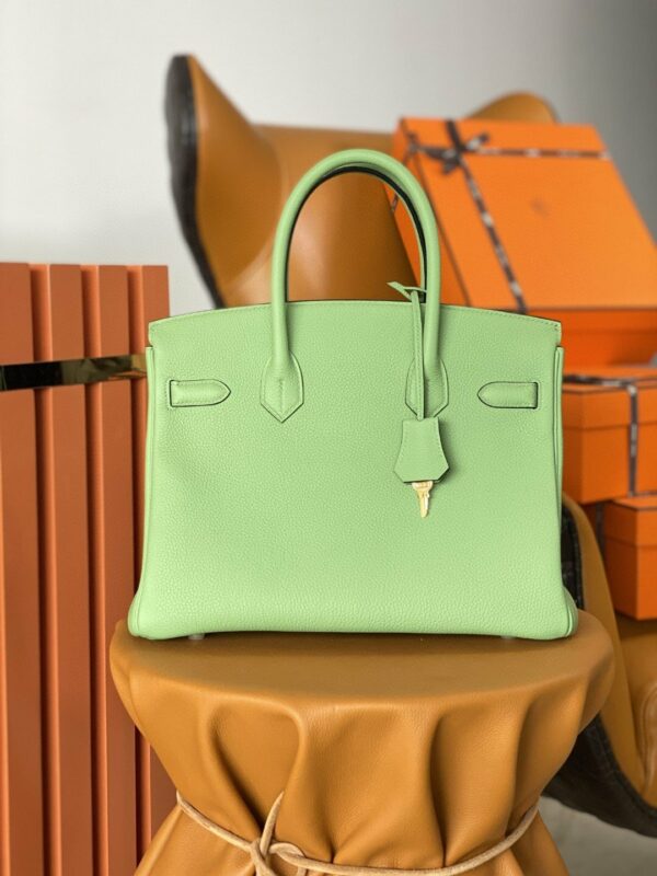 Hermes Birkin 25 Nata Swift Gold Hardware Green - Image 4