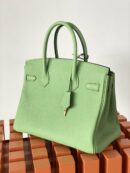 Hermes Birkin 25 Nata Swift Gold Hardware Green
