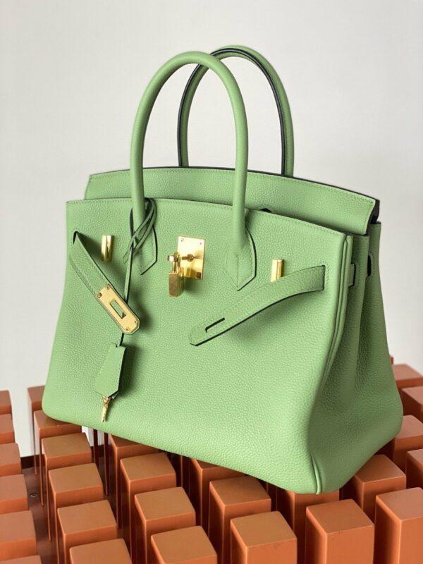 Hermes Birkin 25 Nata Swift Gold Hardware Green - Image 3