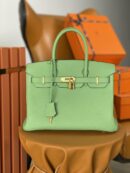 Hermes Birkin 25 Nata Swift Gold Hardware Green