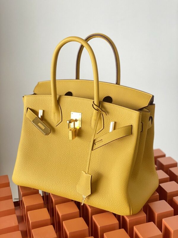 Hermes Birkin 30 Nata Swift Gold Hardware Yellow - Image 6
