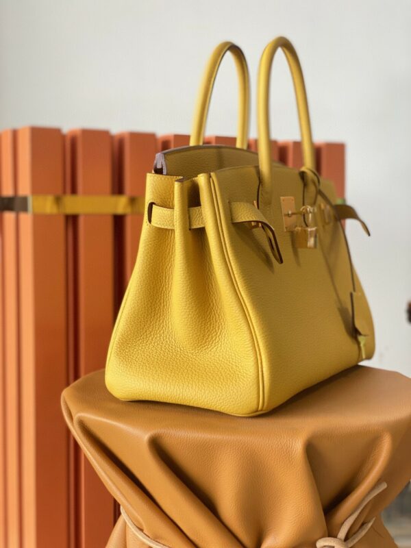 Hermes Birkin 30 Nata Swift Gold Hardware Yellow - Image 4