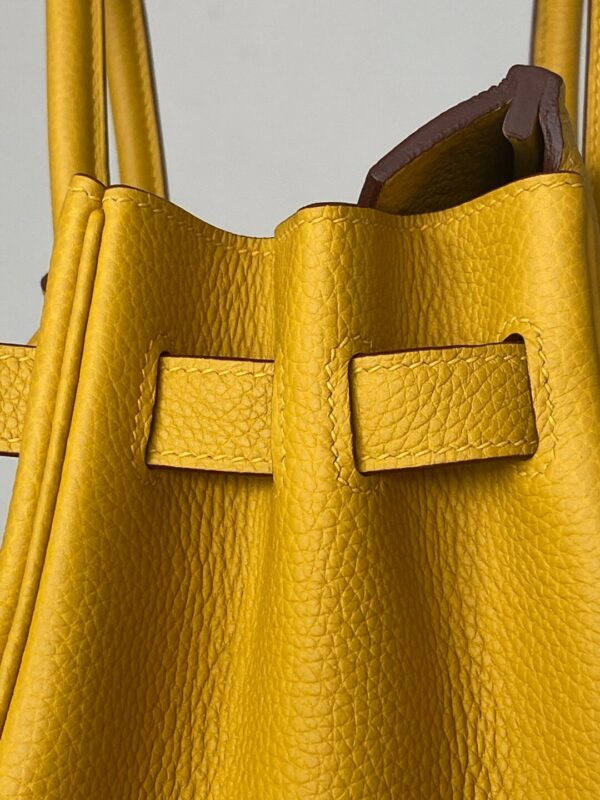 Hermes Birkin 30 Nata Swift Gold Hardware Yellow - Image 3