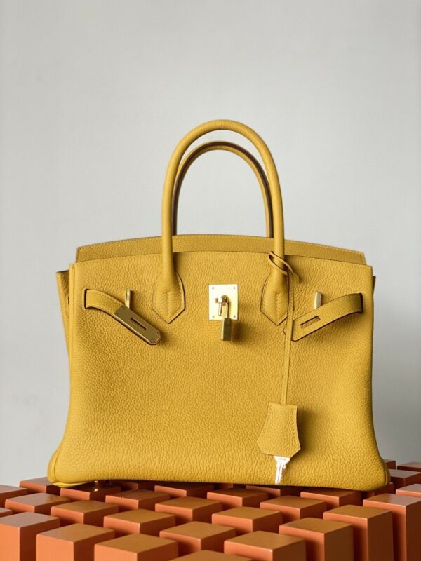 Hermes Birkin 30 Nata Swift Gold Hardware Yellow