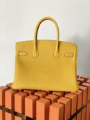 Hermes Birkin 30 Nata Swift Gold Hardware Yellow