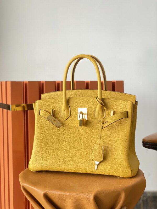 Hermes Birkin 30 Nata Swift Gold Hardware Yellow - Image 2