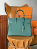 Hermes Birkin 30 Nata Swift Silver Hardware