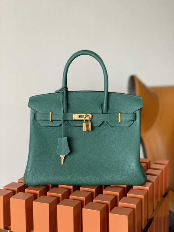Hermes Birkin 30 Nata Swift Silver Hardware