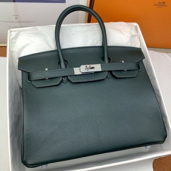 Hermes Birkin 30 Nata Swift Silver