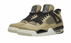 Jordan 4 Mushroom