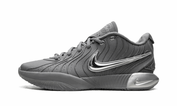 LeBron 21 "Cool Grey"