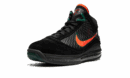 LeBron 7 "Florida A&M"