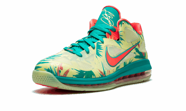 LeBron 9 Low "LeBronald Palmer" - Image 4