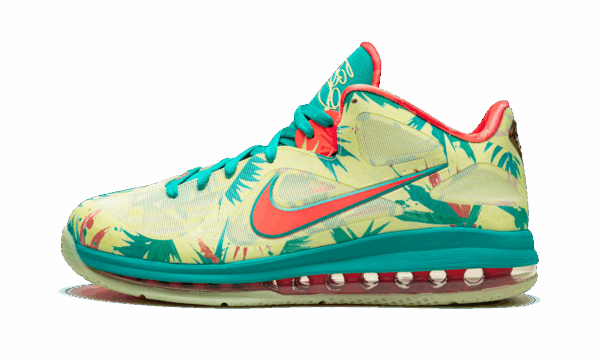 LeBron 9 Low "LeBronald Palmer"