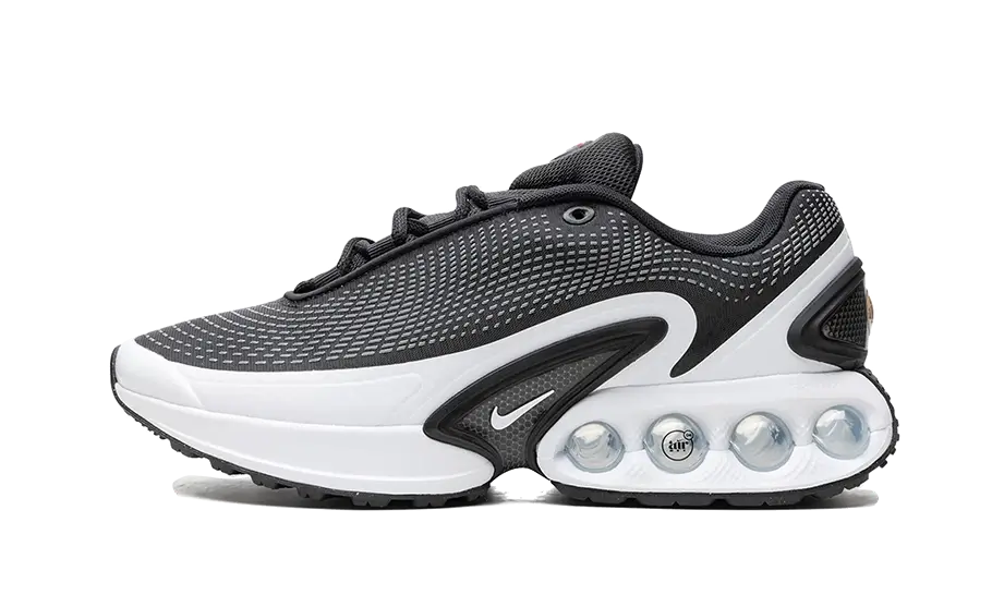 Nike Air Max DN Black White Cool Gray