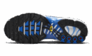 Nike Air Max Plus Light Photography Old Royal