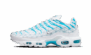 Nike Air Max Plus Marseille