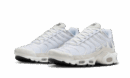 Nike Air Max Plus Sail Pure Platinum Silver