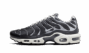 Nike Air Max Plus SE Greyscale Cool Gray