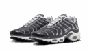 Nike Air Max Plus SE Greyscale Cool Gray