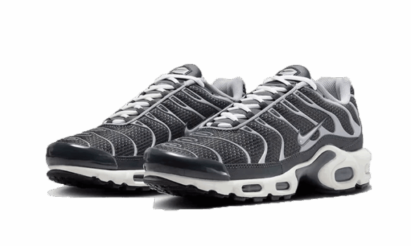 Nike Air Max Plus SE Greyscale Cool Gray - Image 2