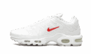 Nike Air Max Plus Supreme White