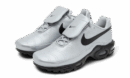 Nike Air Max Plus Tiempo Wolf Grey