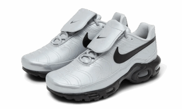 Nike Air Max Plus Tiempo Wolf Grey - Image 2