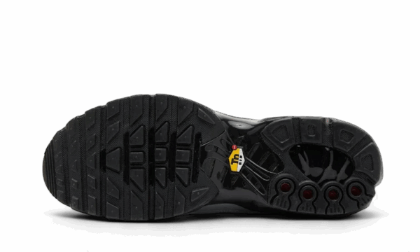 Nike Air Max Plus Tiempo Wolf Grey - Image 3