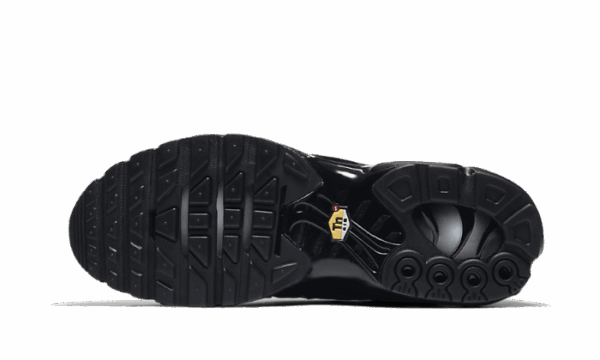 Nike Air Max Plus Triple Black - Image 4