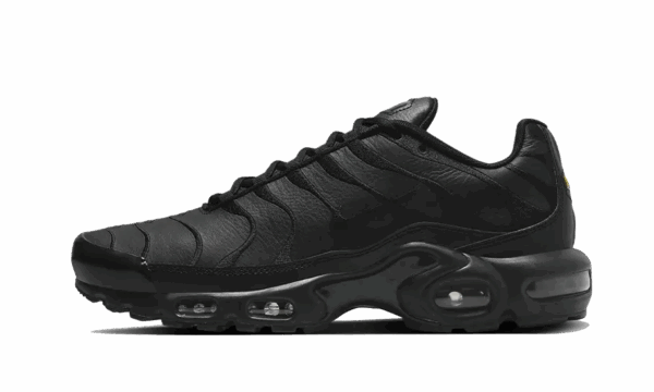 Nike Air Max Plus Triple Black Leather