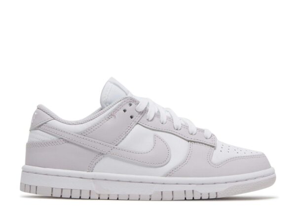 Nike Dunk Low 'Venice' Everlasting Sneaker