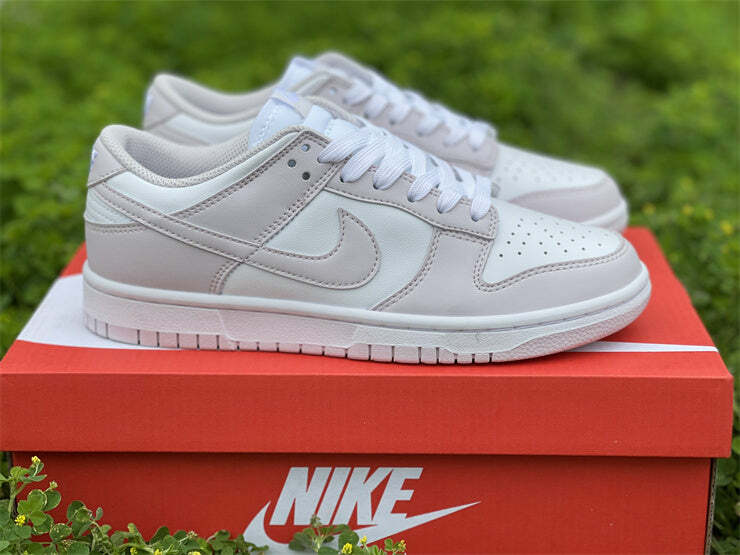 Nike Dunk Low Venice (W)