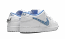 SB Dunk Low "Nicole Hause"