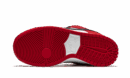 SB Dunk Low Pro "Chicago"